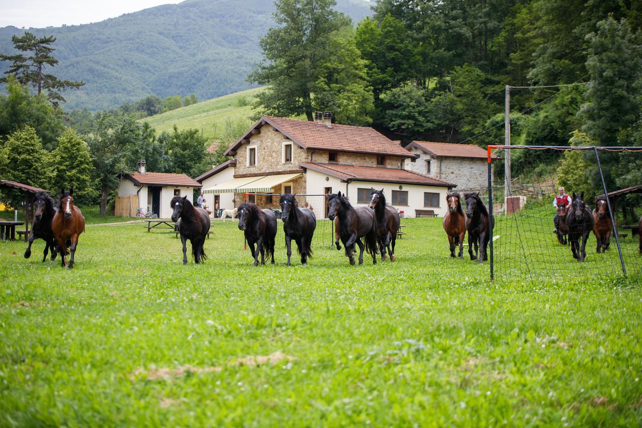 Agriturismo Carovane Compiano Esterno foto