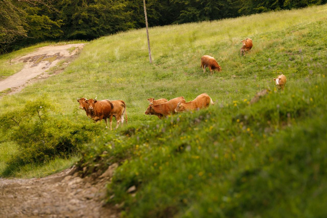 Agriturismo Carovane Compiano Esterno foto